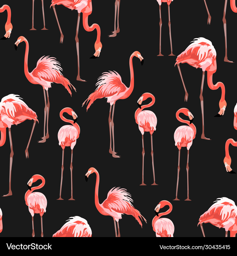 Tropical Pink Flamingo Pattern Vector Image
