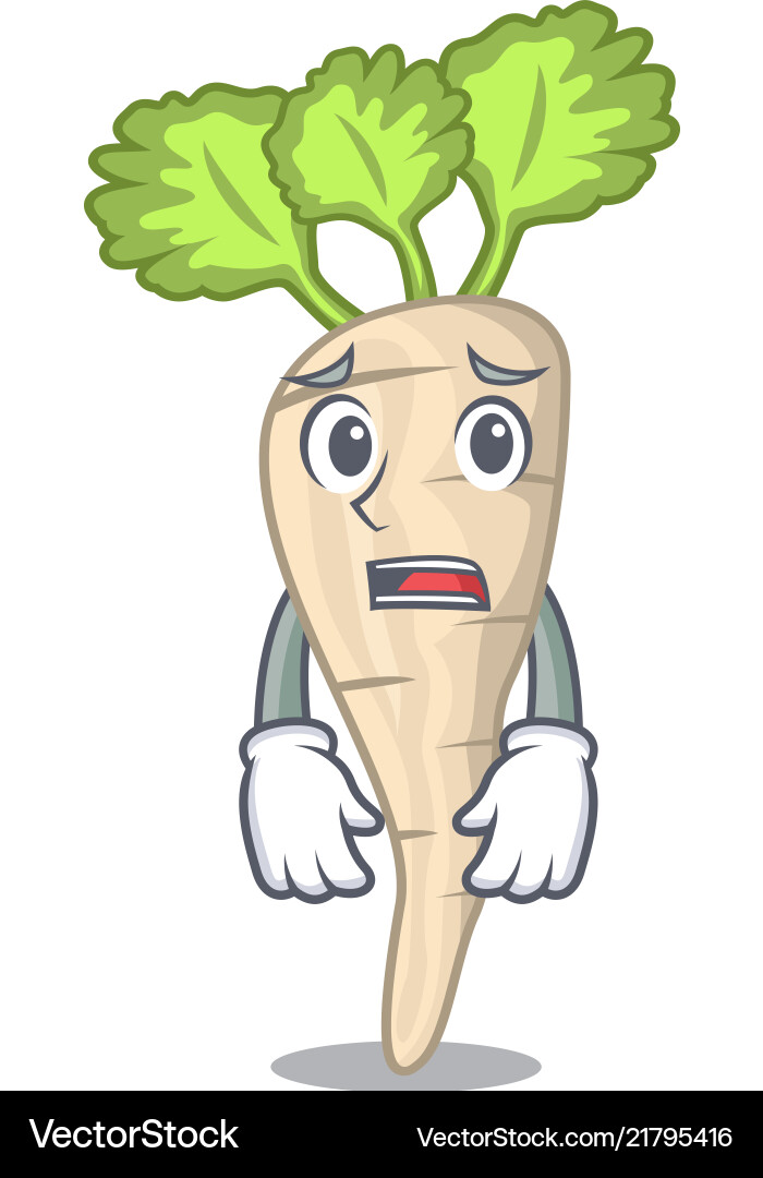 Afraid fresh parsnip roots on a mascot Afraid fresh parsnip roots on a mascot Vector Image