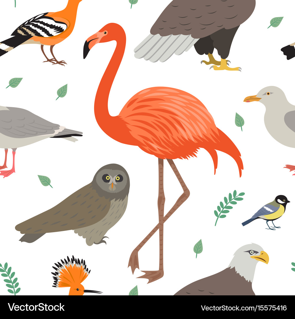 Colorful Birds Seamless Pattern vector image