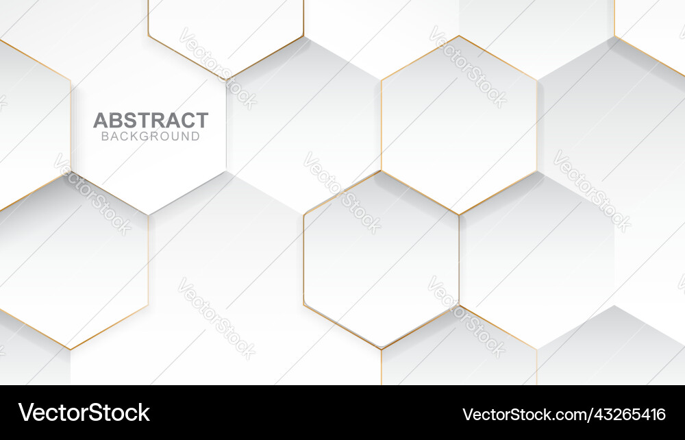 Modern White Hexagon Pattern Background vector image