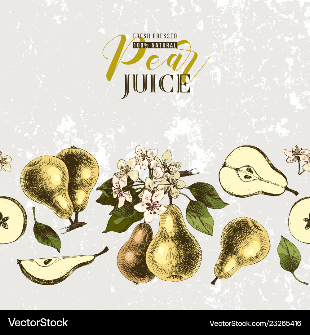 Retro-styled background with seamless pear border vector image