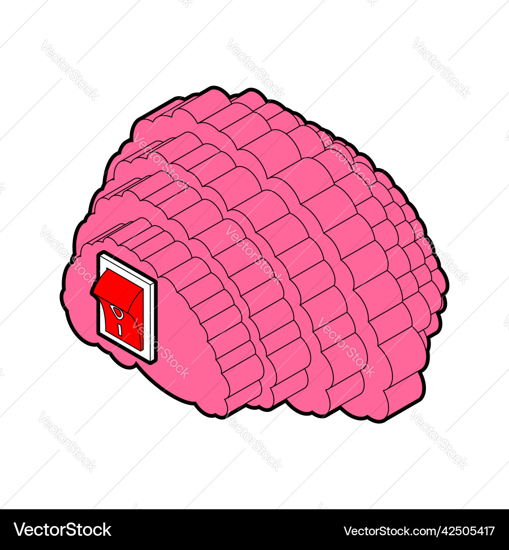 Brain and switch included brains Vector Image