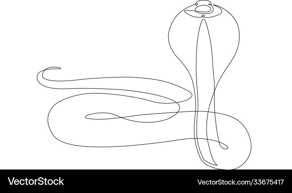 Continuous line drawing snake cobra Continuous line drawing snake cobra vector image