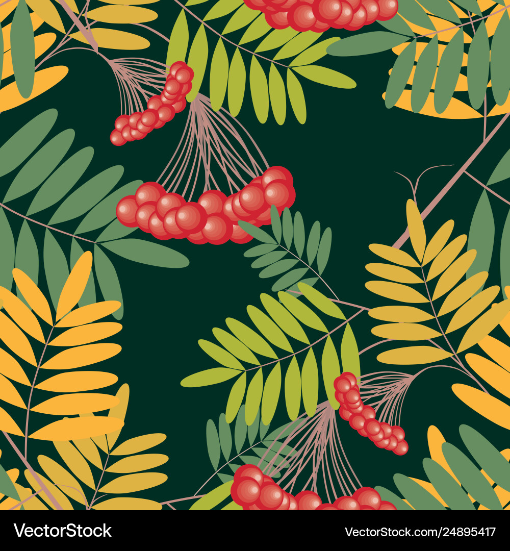 Seamless pattern rowan branches with berries Vector Image