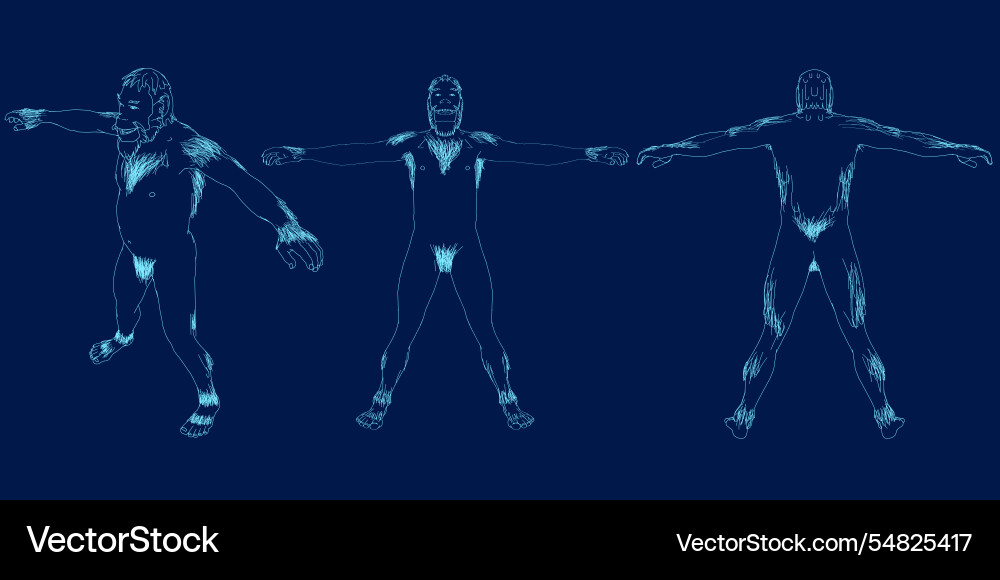 Set of neanderthal man contour view front back Set of neanderthal man contour view front back Vector Image