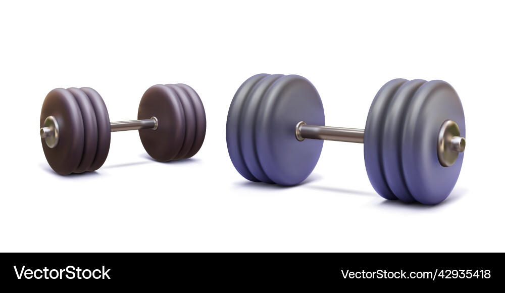 Metal 3d realistic dumbbell isolated on white Metal 3d realistic dumbbell isolated on white vector image
