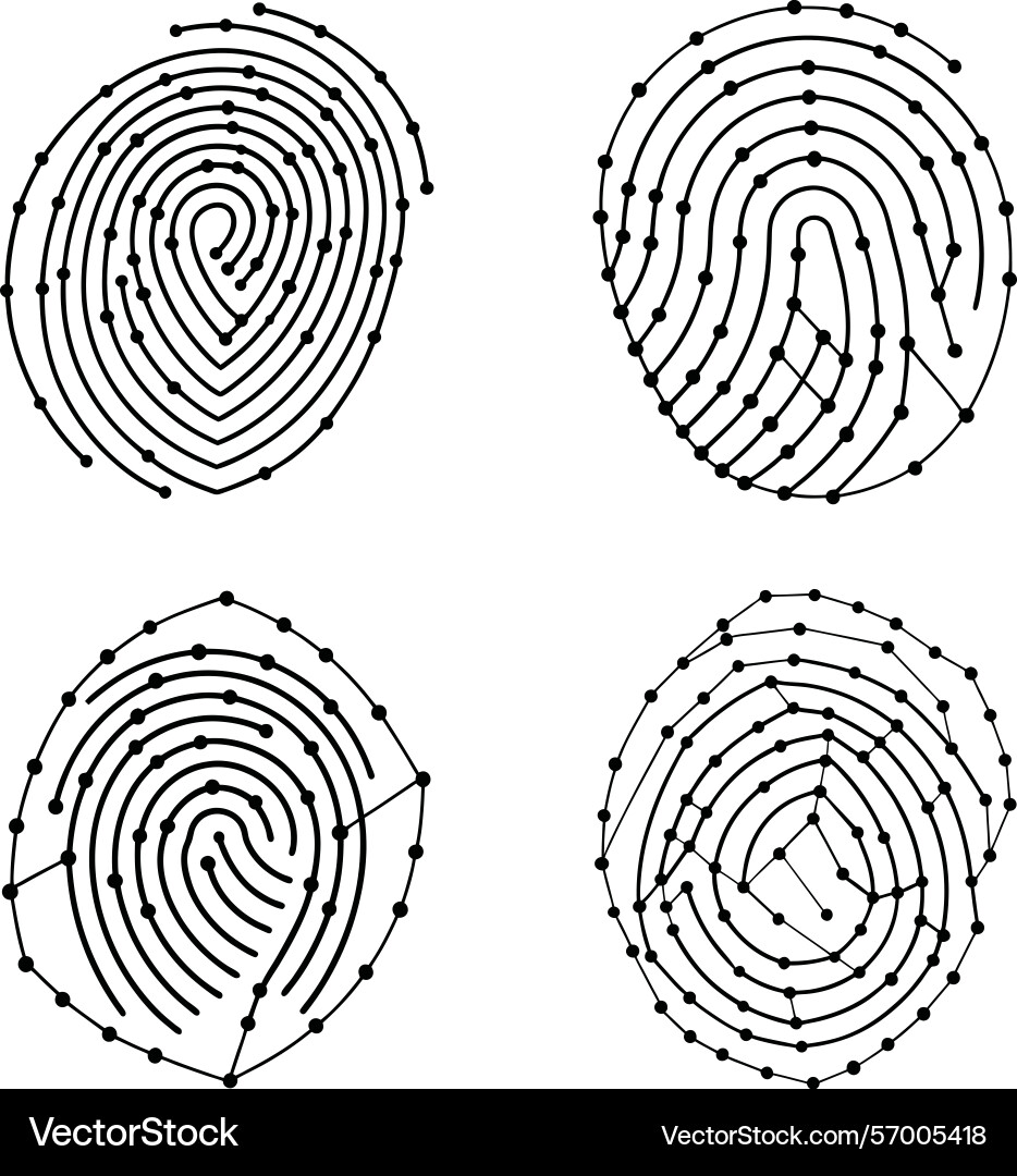 Minimalist of four distinct fingerprint patterns Vector Image