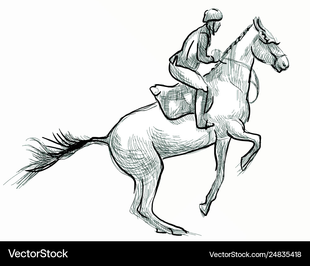 Show jumping hand drawn line art technique Show jumping hand drawn line art technique Vector Image
