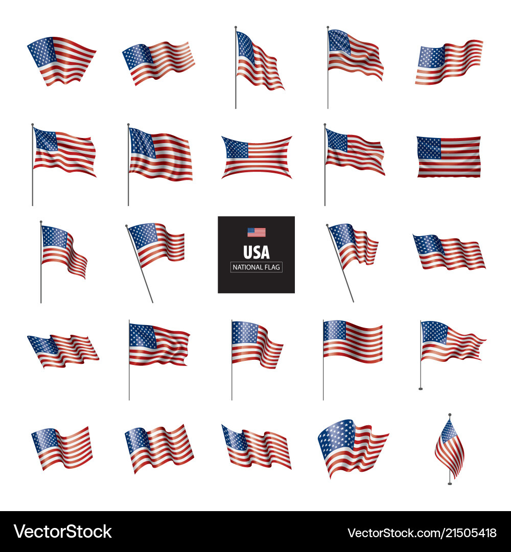 USA Flag - Patriotic Symbols Vector Image