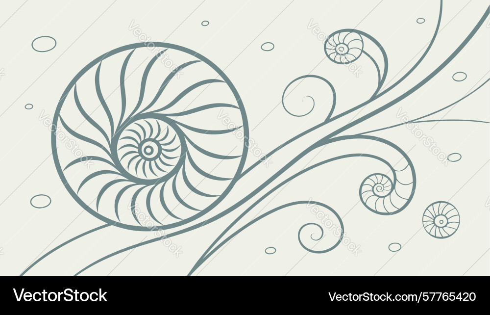 Abstract spiral shell with flowing lines design vector image