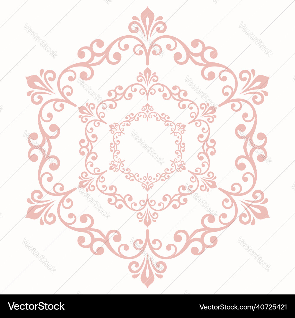 Classic fine pattern with various Vector Image