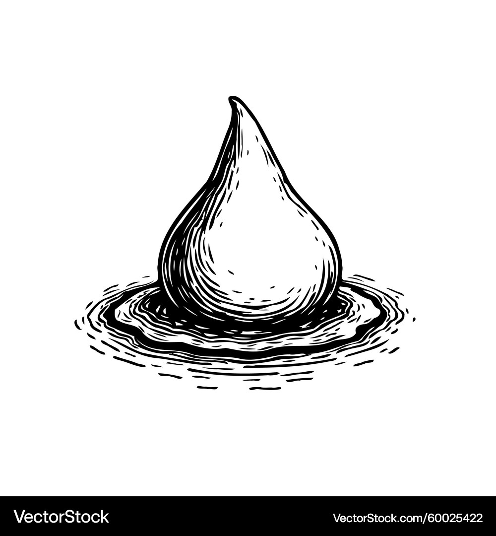 Water Droplet Ripples Sketch – Royalty-Free Vector | VectorStock, image size:1000x1080