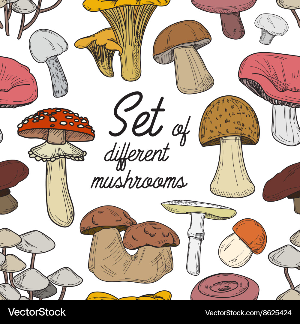 Set of different mushrooms pattern vector image