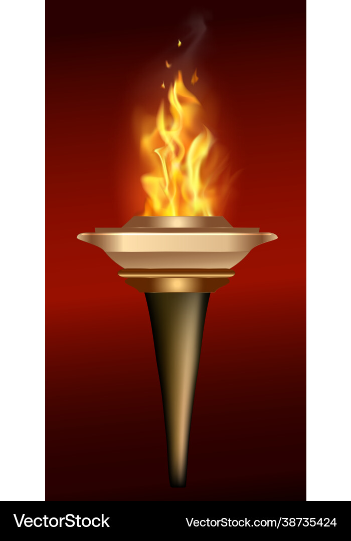 Torch flame isolated on transparent background 3d vector image