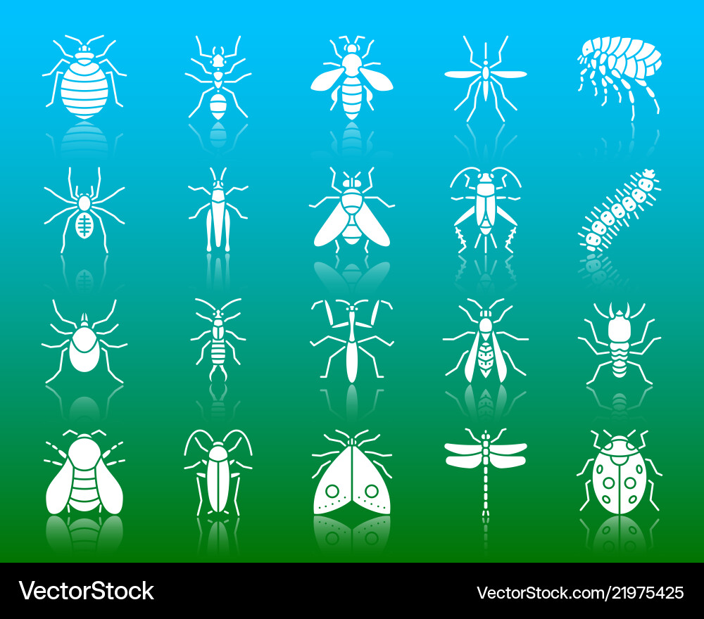 Danger insect white silhouette icons set Danger insect white silhouette icons set vector image