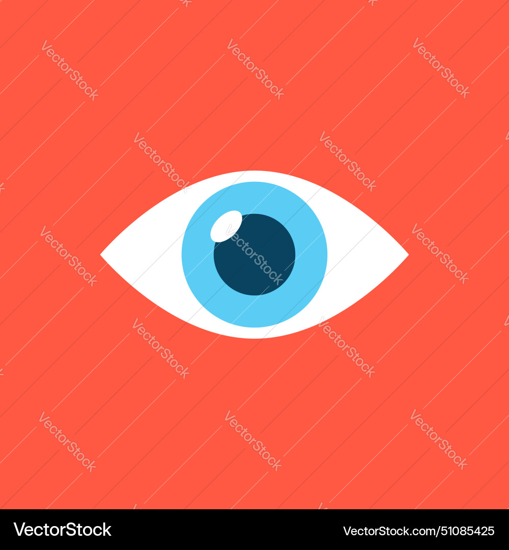 Human eye icon in flat style eyeball on isolated Human eye icon in flat style eyeball on isolated vector image