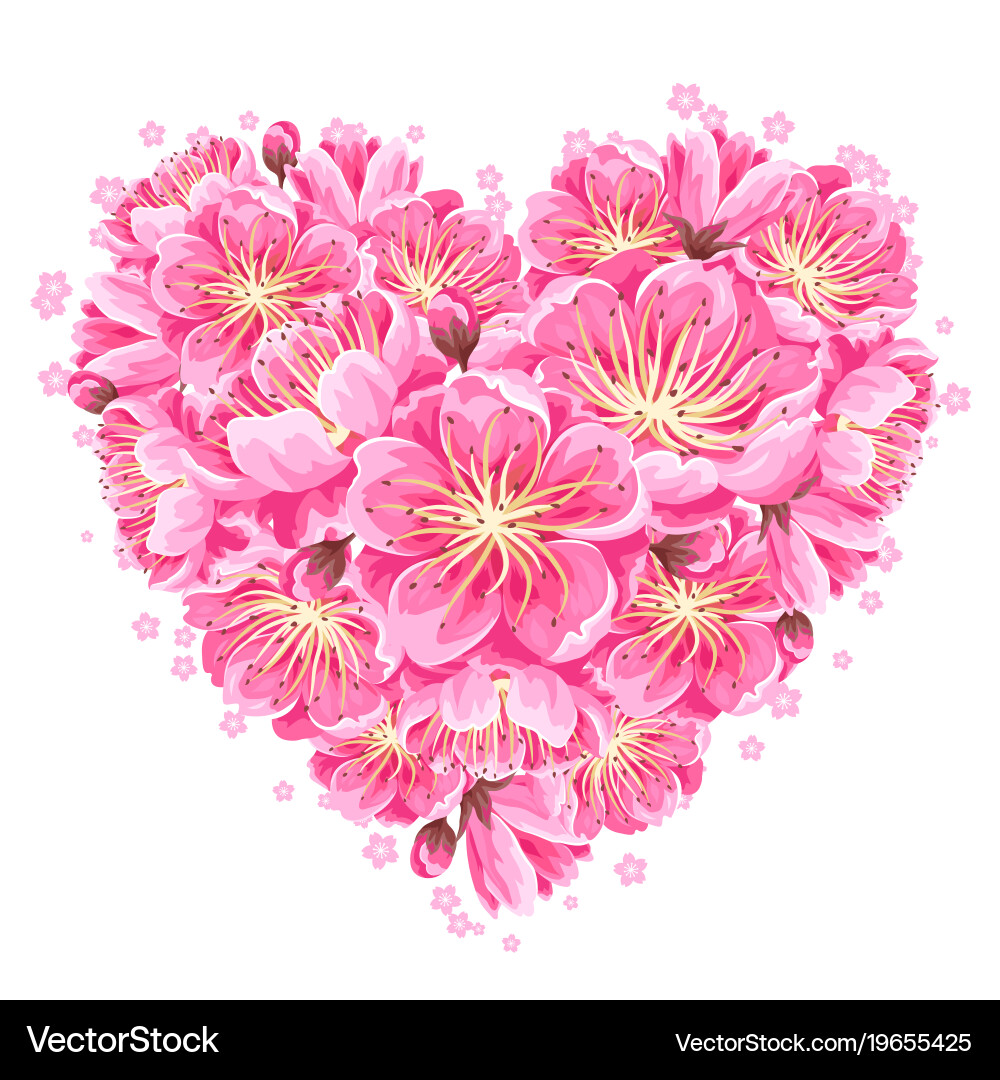 Sakura Blossom Heart Background Vector Image
