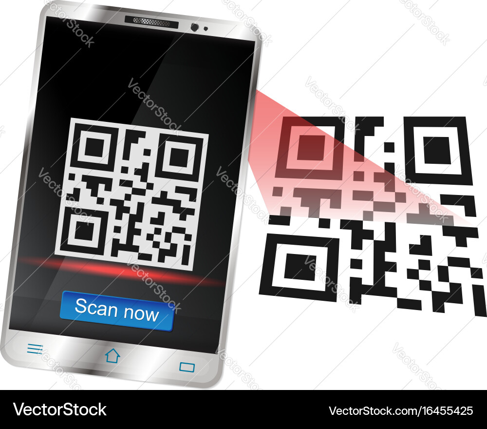 Smartphone scans the qr code Vector Image