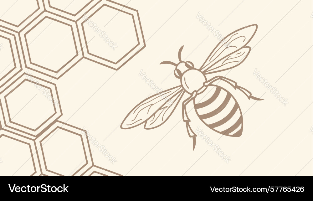 Honey bee with hexagonal honeycomb pattern design Vector Image