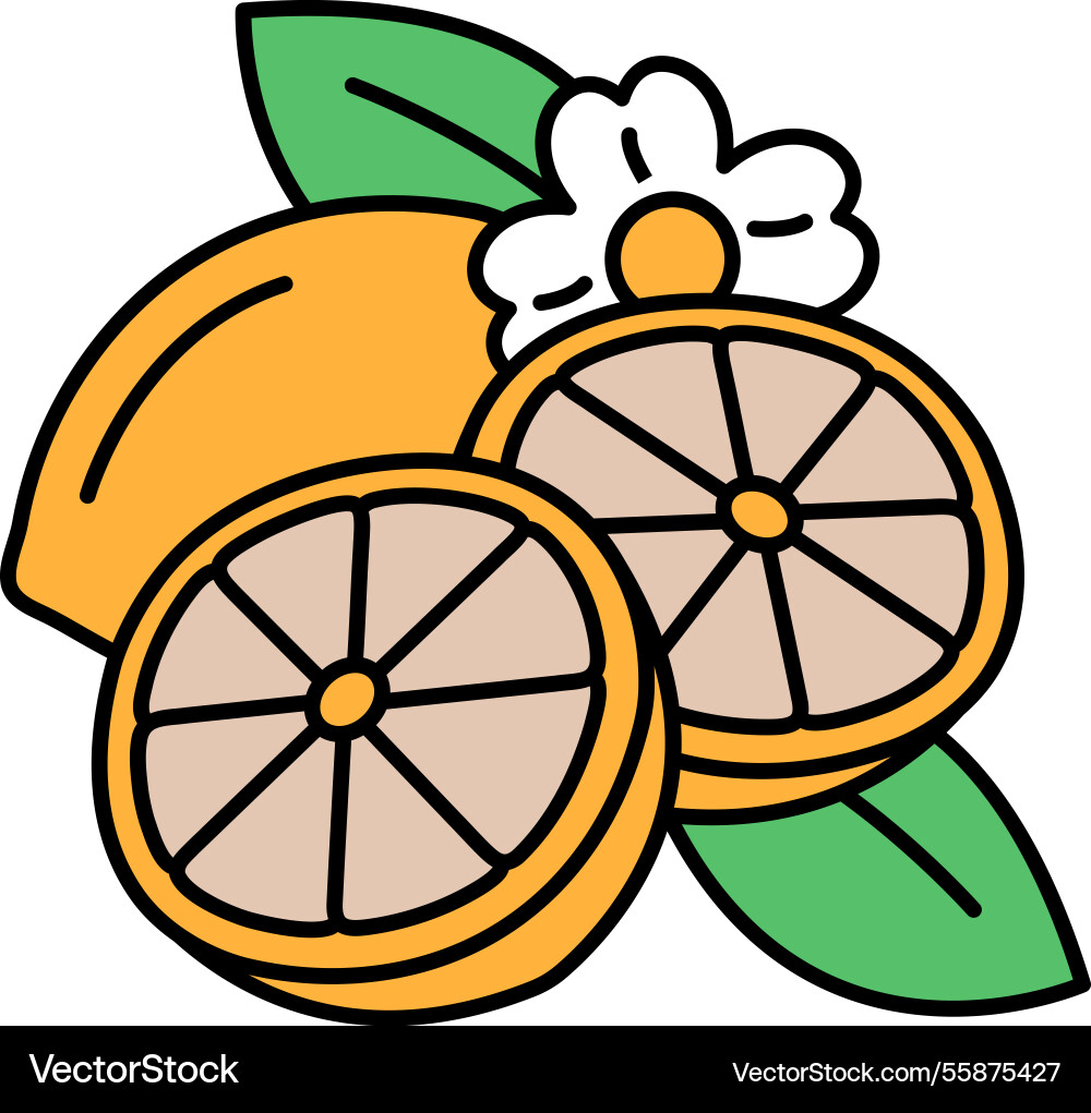 A drawing of two oranges with leaf in between A drawing of two oranges with leaf in between Vector Image