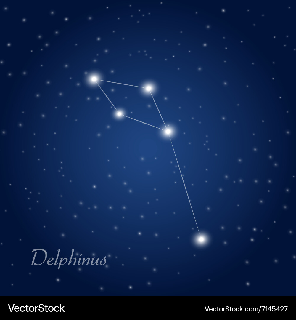 Delphinus constellation Vector Image