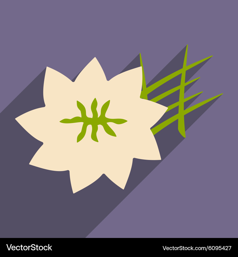 Flat with shadow icon and mobile application Vector Image