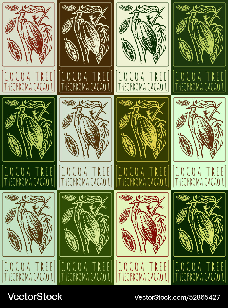 Set of drawing cocoa tree in various colors hand Set of drawing cocoa tree in various colors hand Vector Image