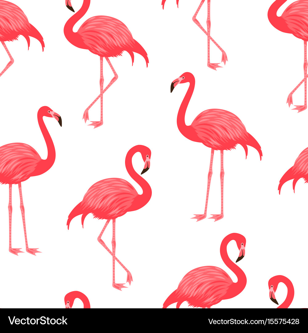 Flamingo Seamless Pattern Vector Image