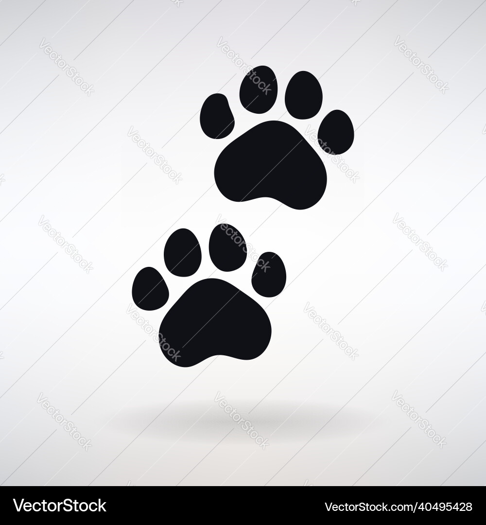Tiger footprint icon Tiger footprint icon vector image