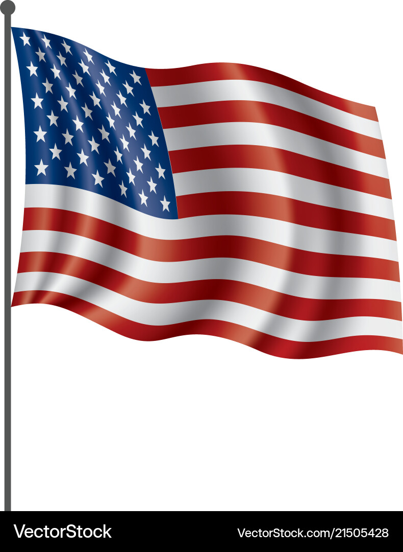 USA Flag Isolated - Patriotic Symbol Vector Image