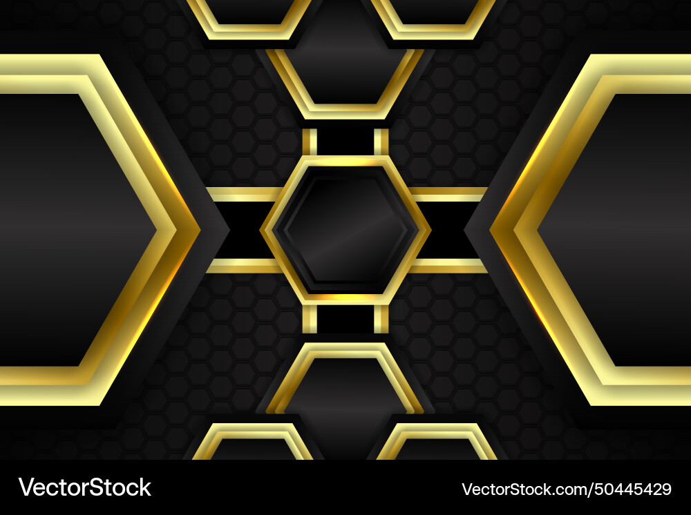 Abstract background polygon shape with black Abstract background polygon shape with black vector image