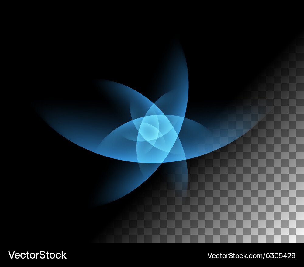 Abstract lights lines on transparent background vector image