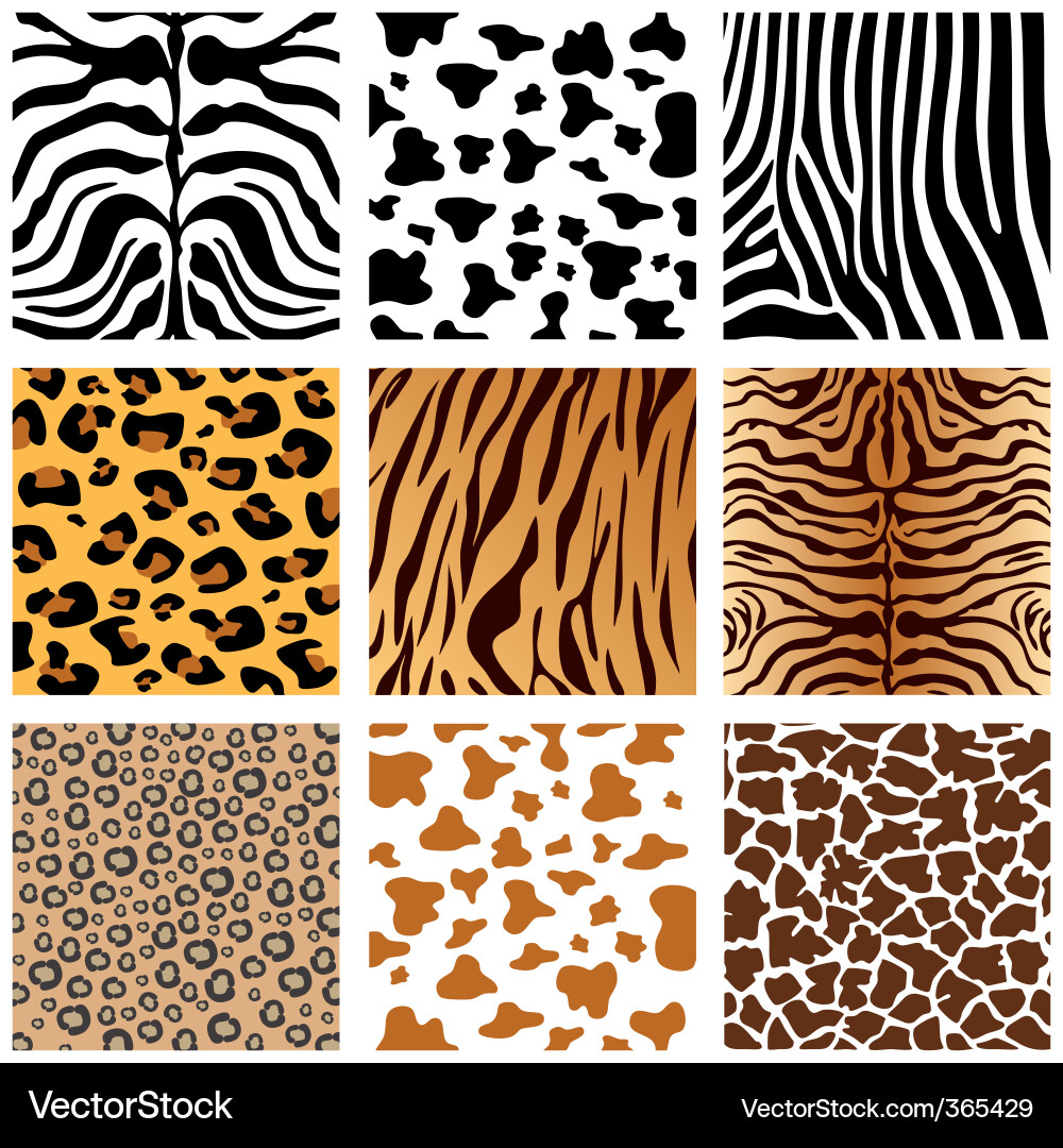 Animal Print Patterns vector image