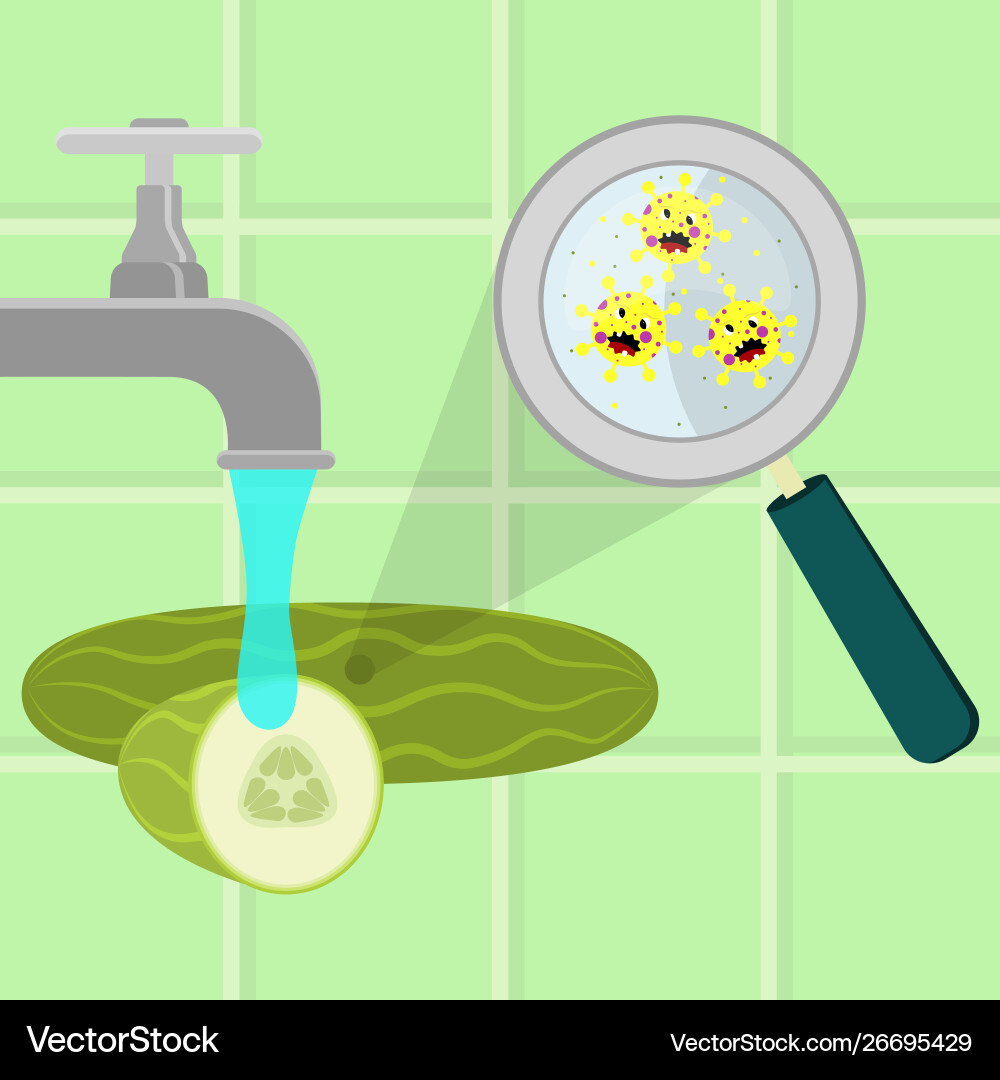 Cucumber contaminated with microbes Vector Image