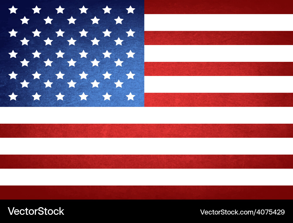 Distressed American Flag Vector Image