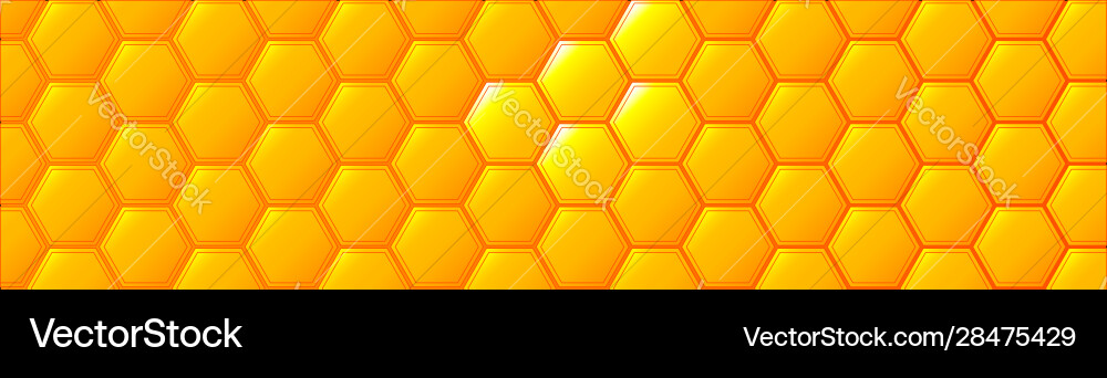Honeycombe hexagonal web banner background Vector Image