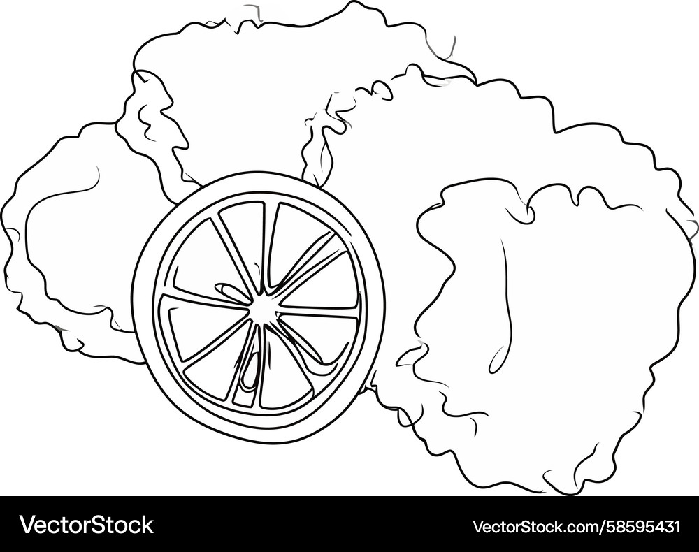 Abstract Citrus Slice Line Art Vector Image