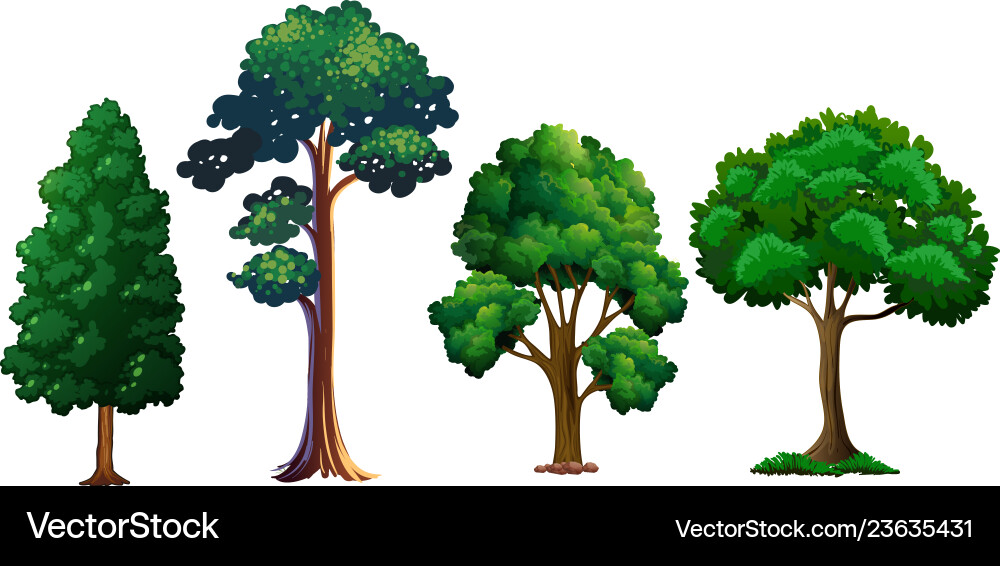 Tree Collection - Diverse Tree Forms vector image