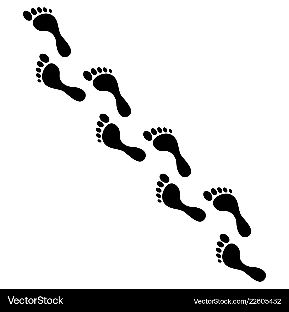 Foot Steps Guide Human foot steps Royalty Free Vector Image - VectorStock