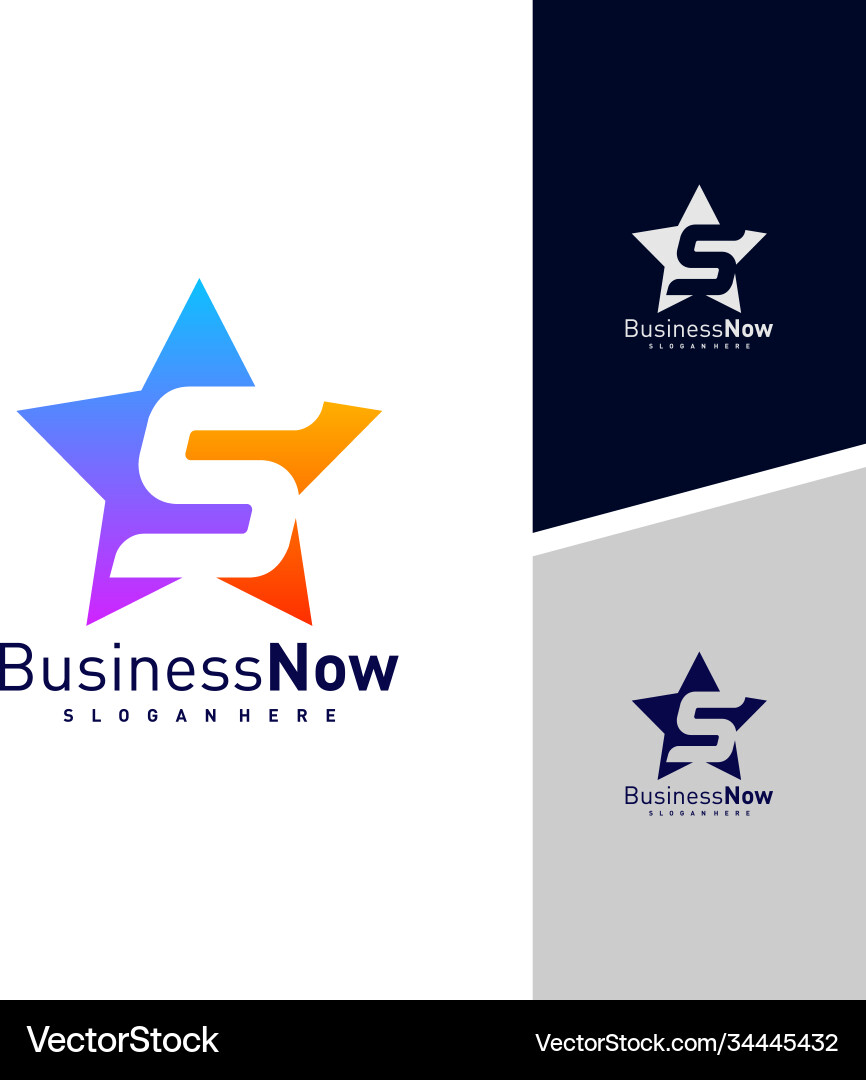 Initial S Star Logo Template Vector Image