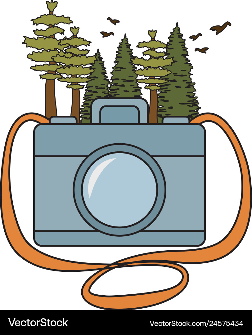 Pines trees forest scene with camera Vector Image