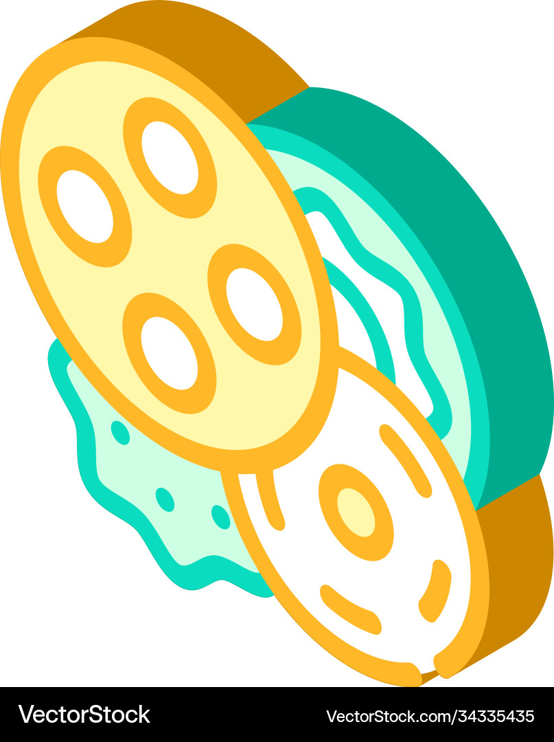 Buttons clothes detail isometric icon Vector Image