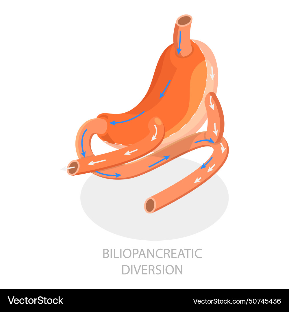 3d isometric flat of types Vector Image