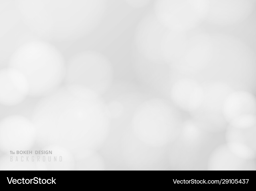 White Bokeh Bubble Background vector image