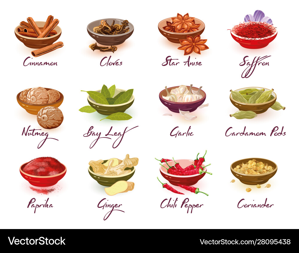 Big set with different kinds spices vector image