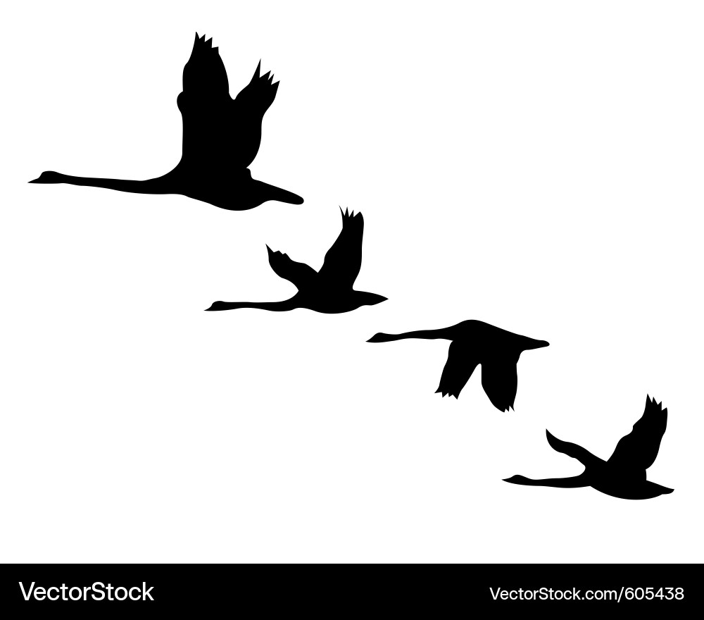 Flying Geese Formation vector image