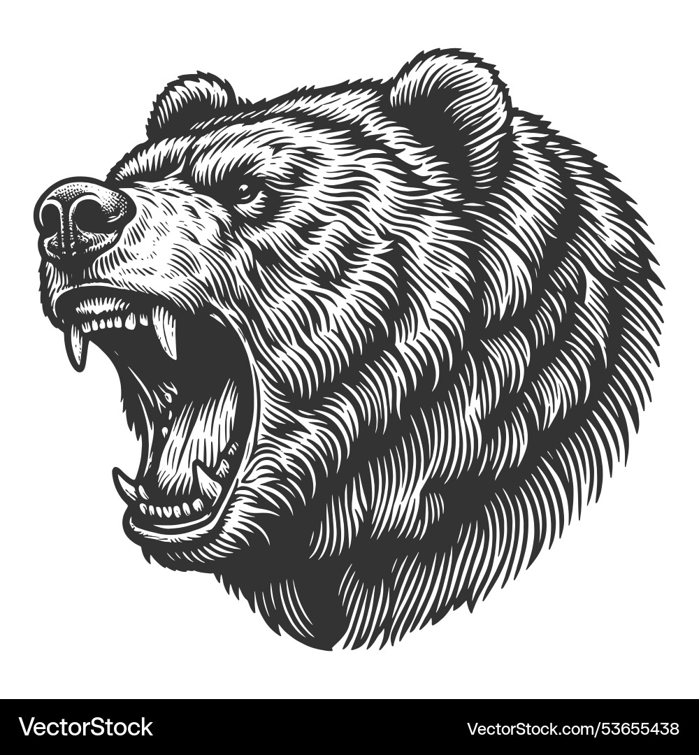 Grizzly bear tattoo head Vector Images \u0026 Graphics for Commercial Use |  VectorStock, image size:1000x1080