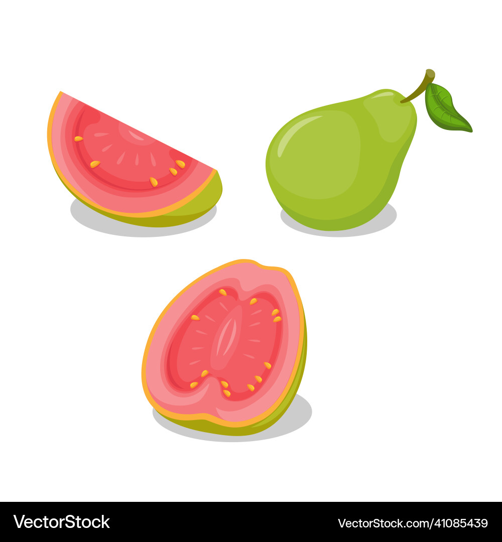 Guava fruit whole and slice object collection set Guava fruit whole and slice object collection set Vector Image