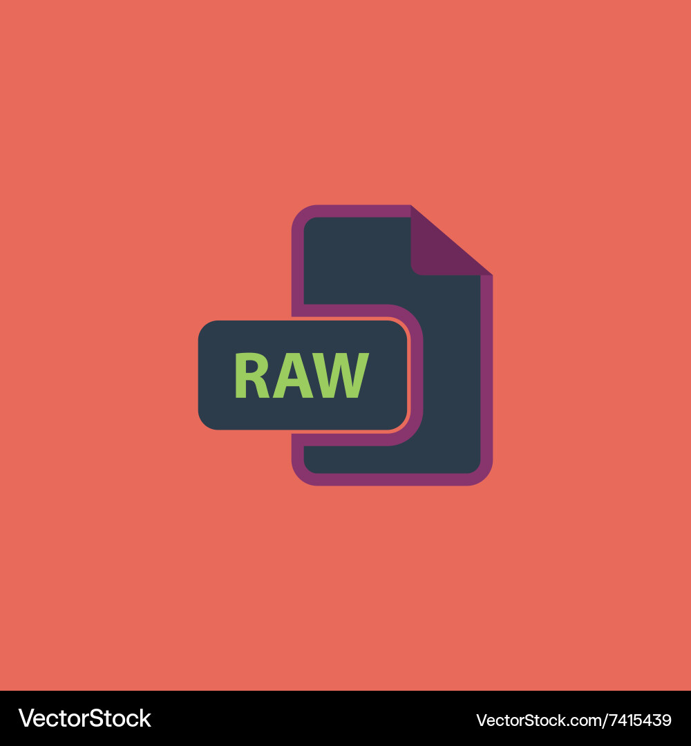Raw image file extension icon Vector Image