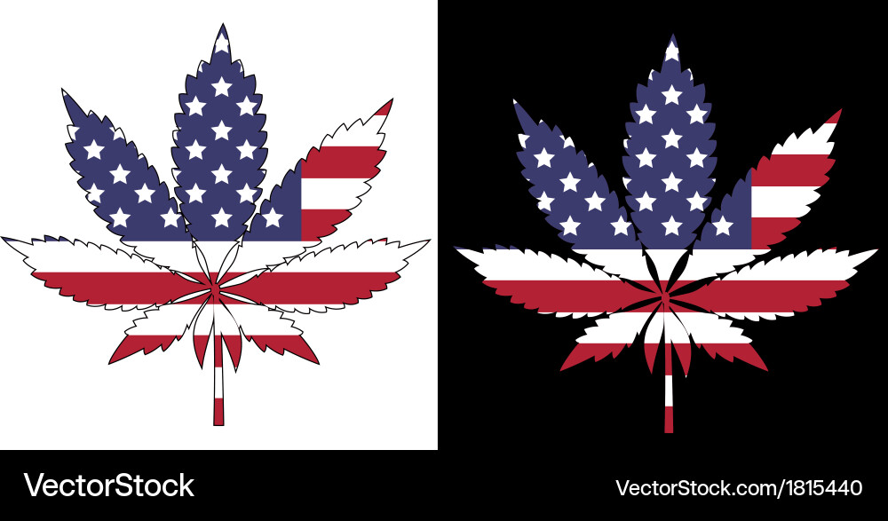 American Marijuana Flag vector image